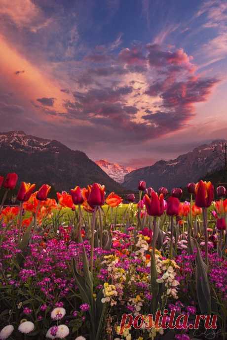 Switzerland
