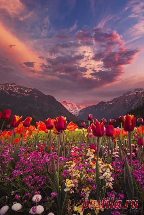 Switzerland