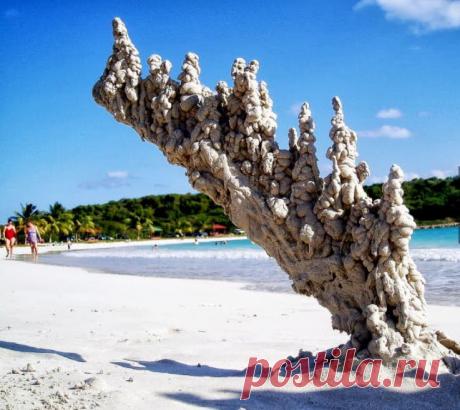 - Угадайте, что это?..