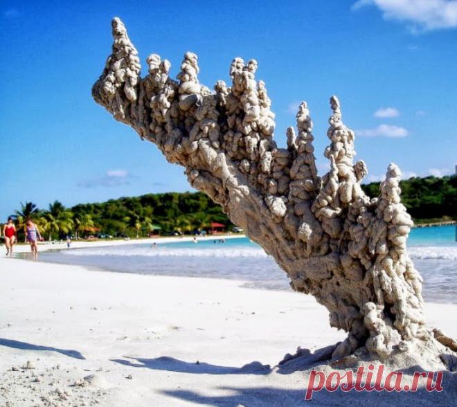 - Угадайте, что это?..