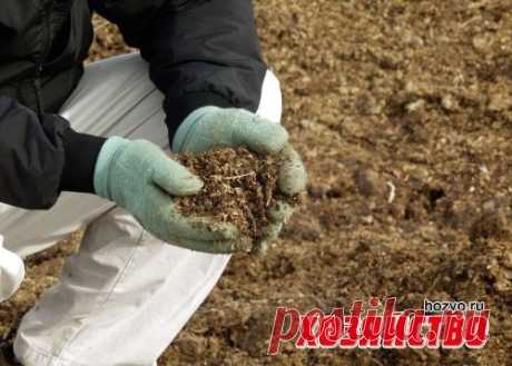 Навоз – экологически чистое удобрение?