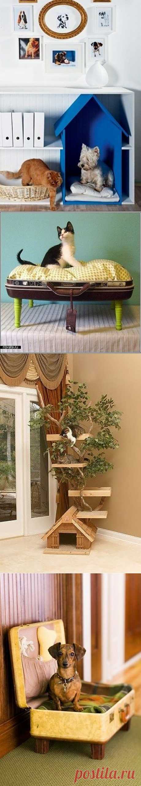 Домики для животных