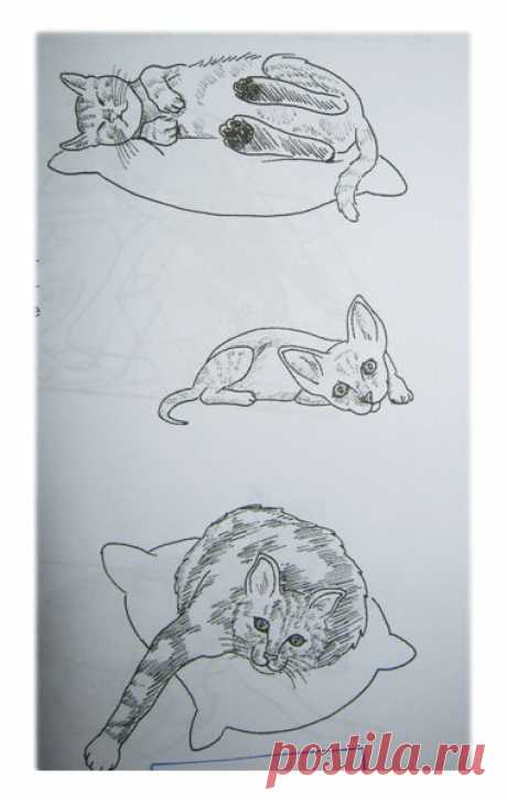 Рисуем кошку