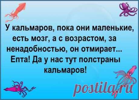 — Вот хочу завтра с Моней на показ мод сходить. Таки пусть подумает за новое и красивое платье для меня. — Ой, Софочка! Это ты там подумаешь за новое платье, а он таки подумает за новую жену! - Выпуск №1780 — Вокруг смеха - анекдоты