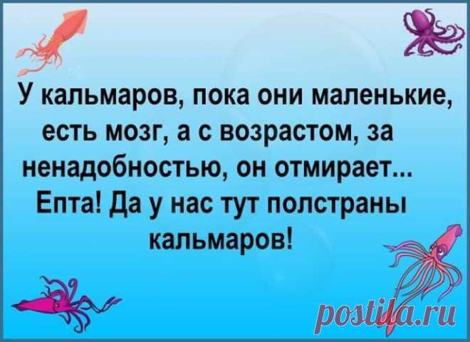 — Вот хочу завтра с Моней на показ мод сходить. Таки пусть подумает за новое и красивое платье для меня. — Ой, Софочка! Это ты там подумаешь за новое платье, а он таки подумает за новую жену! - Выпуск №1780 — Вокруг смеха - анекдоты
