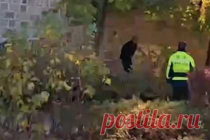 Турист испражнился у объекта культурного наследия в Азии и вызвал гнев в сети