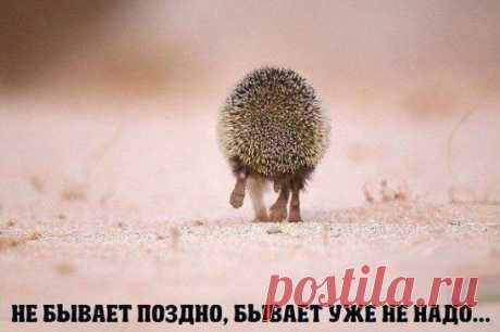 Лучшие посты только для Вас