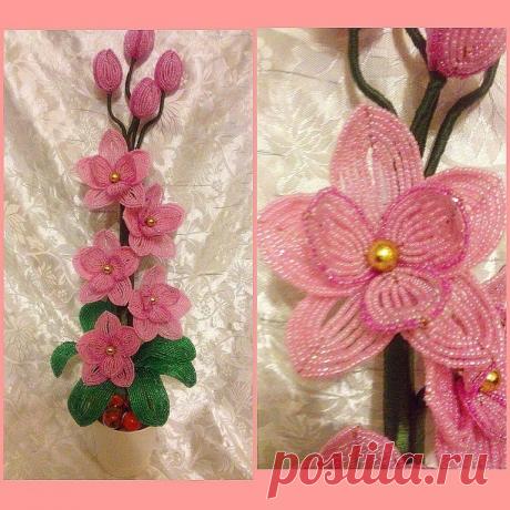 Мелодия бисера.
Екатерина Прибытко(Шурцова)