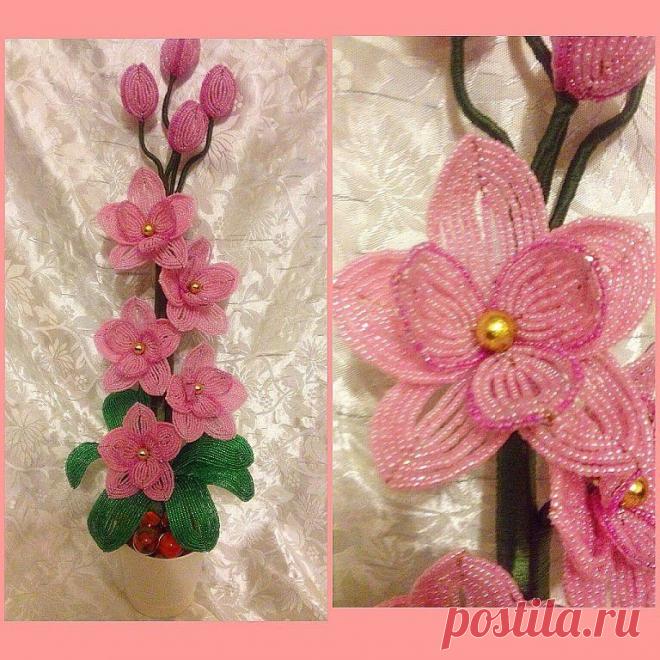 Мелодия бисера.
Екатерина Прибытко(Шурцова)