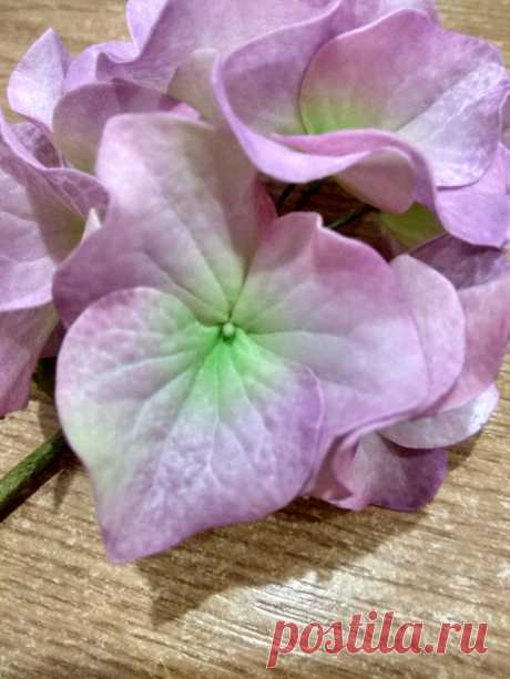 🌹Цветы▪Фоамиран▪Глина▪Холодный фарфор🌹