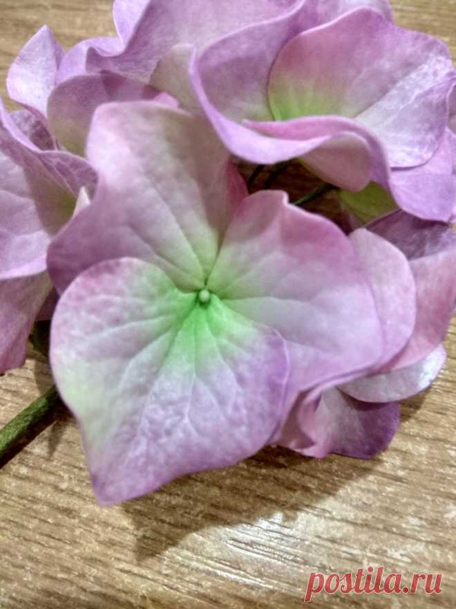 🌹Цветы▪Фоамиран▪Глина▪Холодный фарфор🌹