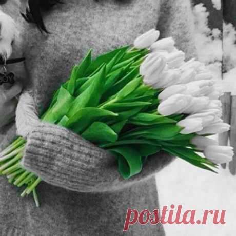белые цветы