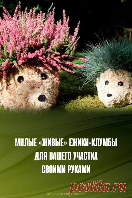 Милые «живые» ежики-клумбы для вашего участка своими руками