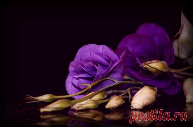 Долги или расплаты человека...