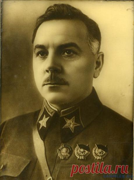 Женщина из-за которой взбунтовался Ворошилов | Прожито | Яндекс Дзен