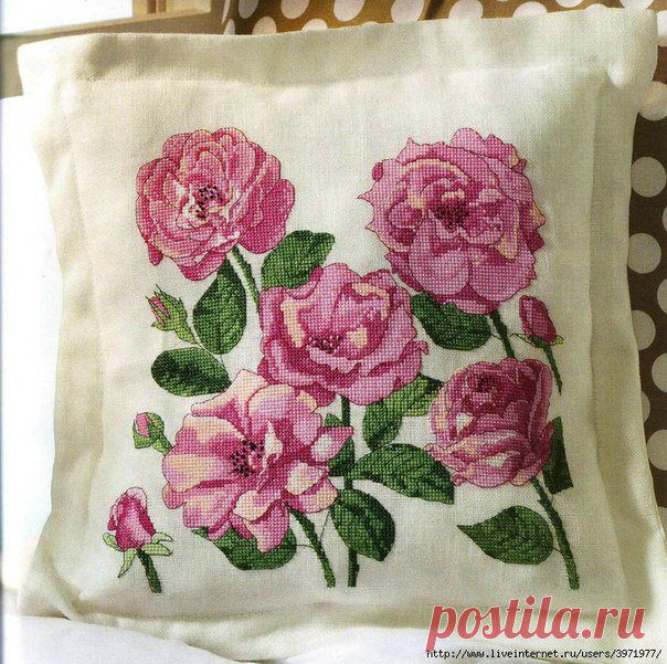 Розы / Необычные увлечения