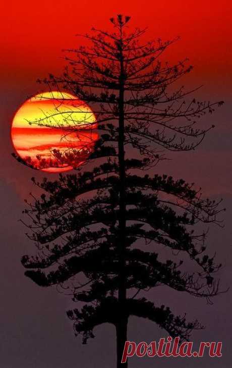 (246) Pinterest