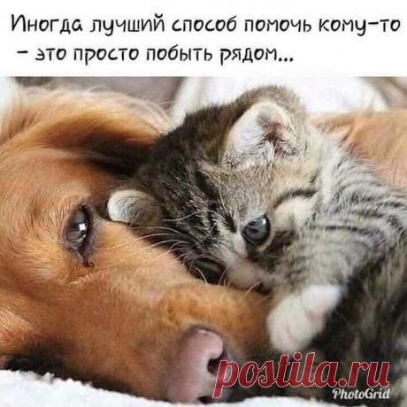 Настроение&gt;Мысли вслух,,,,,,