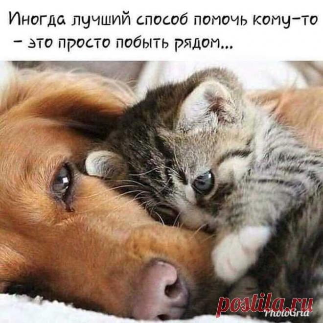 Настроение>Мысли вслух,,,,,,