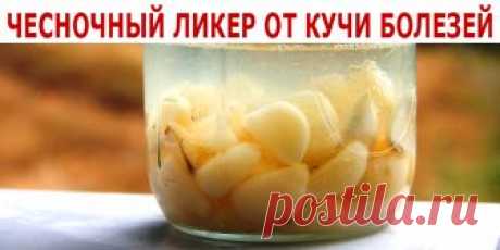 ЧЕСНОЧНЫЙ ЛИКЕР ОТ КУЧИ БОЛЕЗЕЙ | Полезные советы