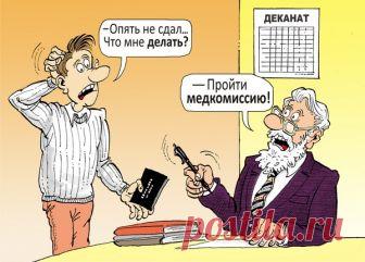 Сложный ответ на вопрос — Убойный юмор - amworld