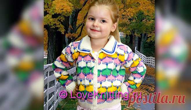 Разноцветный жакет | Loveknitting.ru