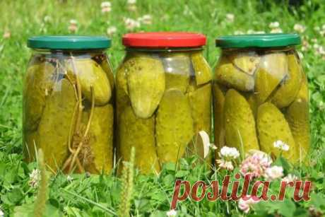 Консервированные огурцы без сахара