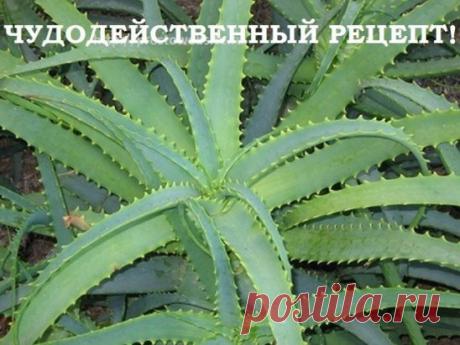(15) Одноклассники