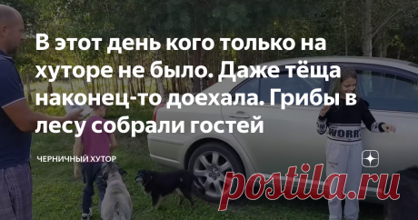 В этот день кого только на хуторе не было. Даже тёща наконец-то доехала. Грибы в лесу собрали гостей