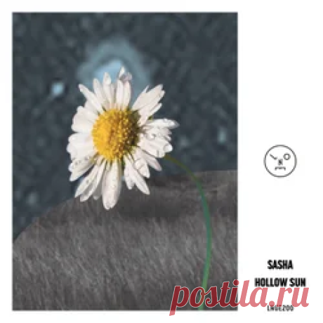 Sasha - Hollow Sun | 4DJsonline.com