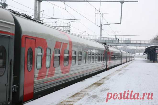 Той-терьера по кличке Арчи высадили из электрички в Подмосковье. Пес остался в электричке один после того, как хозяина высадили из-за конфликта с пассажиром.