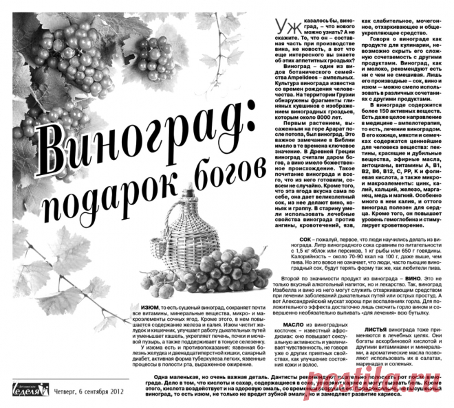 Виноград: подарок богов