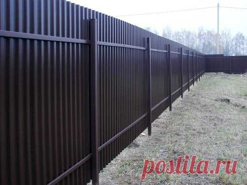 Подсказки для тех, кто устанавливает на даче забор из профнастила

#дача #сад #огород #рассада #урожай