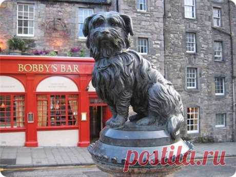 (+1) тема - Памятники собакам которые удивляют. | ПИТОМЦЫ