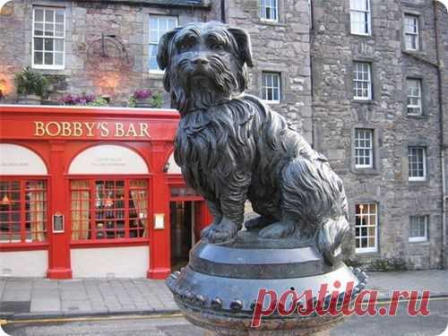 (+1) тема - Памятники собакам которые удивляют. | ПИТОМЦЫ