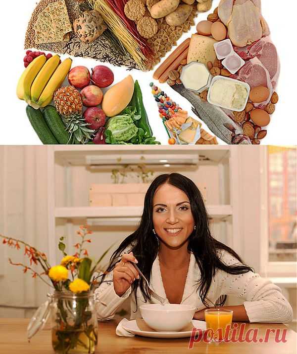 Постулаты Правильного Питания. Часть I: Школа похудения - diets.ru