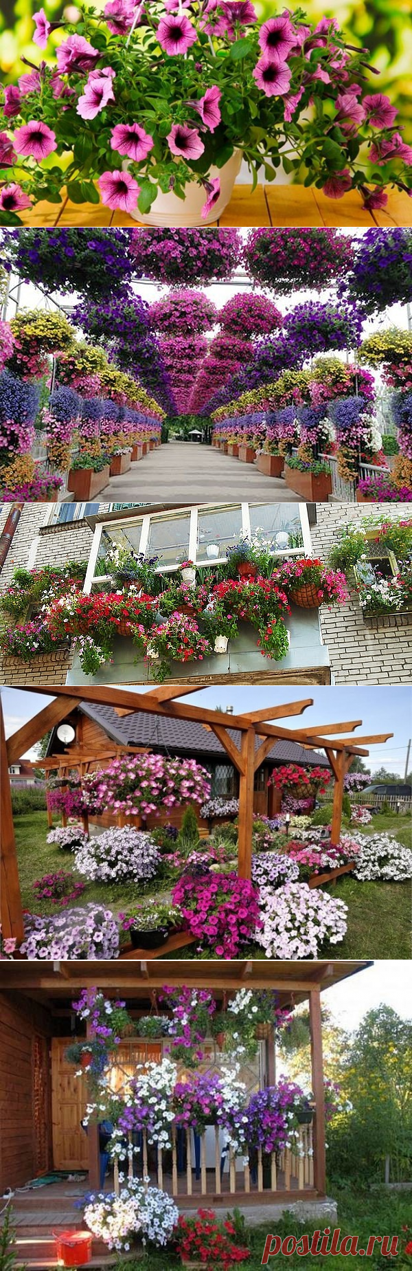 Одноклассники