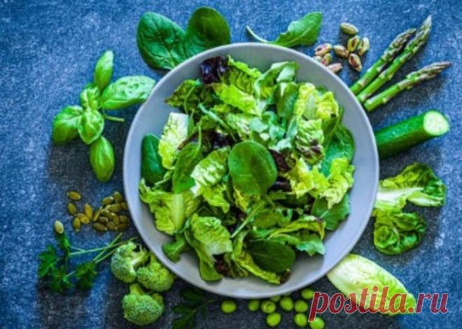 ЧЕМ ВЫШЕ СОДЕРЖАНИЕ ЗЕЛЕНЫХ ОВОЩЕЙ В РАЦИОНЕ, ТЕМ БОЛЬШЕ БУДЕТ ПОТЕРЯ ВЕСА