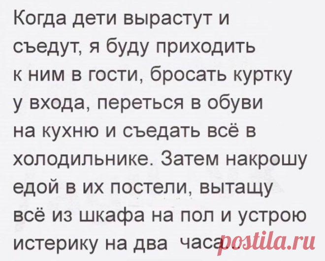 Истории, которые точно поднимут вам настроение