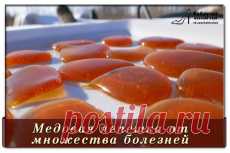 Медовая лепешка от множества болезней.