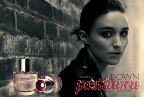 Euphoria Collection № 28 Downtown Calvin Klein