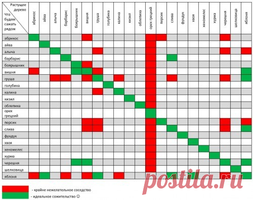 tabl.jpg (500×396)