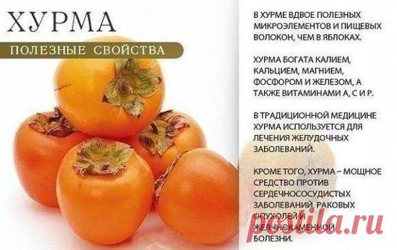 Полезные свойства оранжевых продуктов!
Осенью нам всем, а особенно танцовщикам, которые тратят очень много физической энергии, необходимо получать большое количество витаминов. Сезонные продукты - одни из помощников, что помогут быть всегда в форме!
#на_заметку_родителям
#балет #танец #танцыновоалтайск #хореографияновоалтайск #балет_новоалтайск #Новоалтайск #ballet #dance #ballerina #novoaltaysk