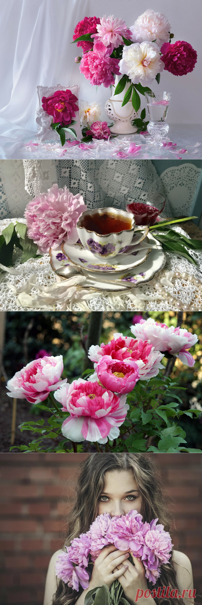 Пионовый пост или Днюха у моего дневничка!