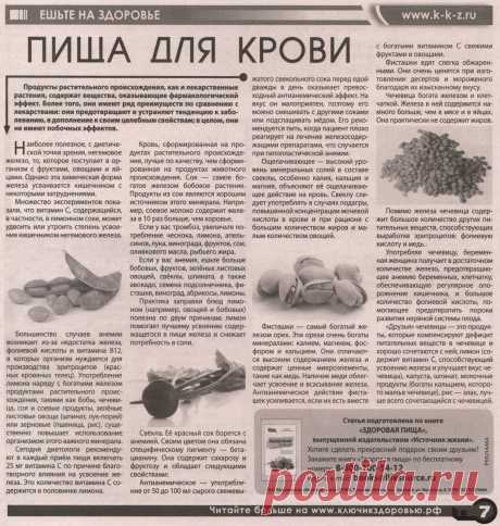 Пища для крови