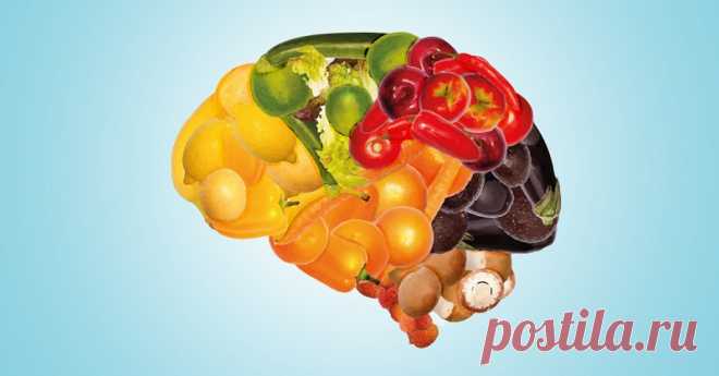 10 продуктов для молодости мозга: лучшей профилактики болезни Альцгеймера не найти С возрастом снижается эффективность работы нашего мозга, и, к сожалению, это неизбежно — так считают многие исследователи причин возникновения болезни Альцгеймера. Но ученые из Rush University Medical…