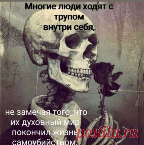 Изображение пина-истории