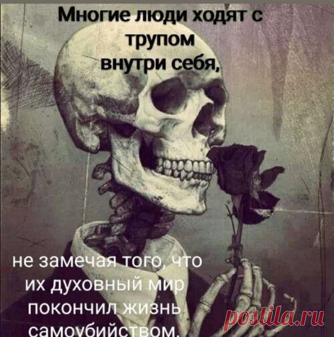 Изображение пина-истории