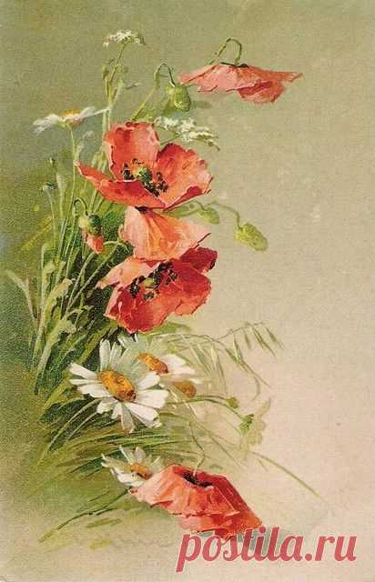 Pinterest