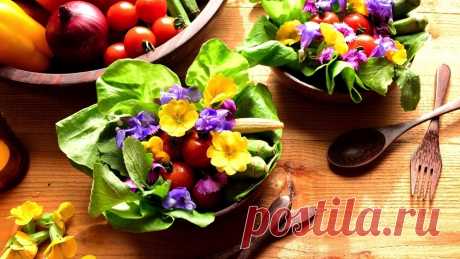 20 съедобных цветков, которые придадут неповторимый вкус любому блюду на FurnishHome.ru